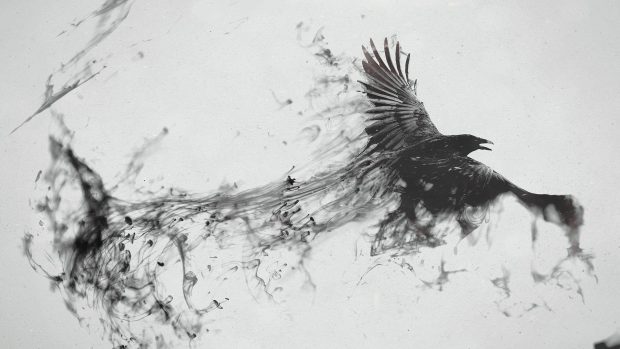 Crow Wide Screen Wallpaper HD.