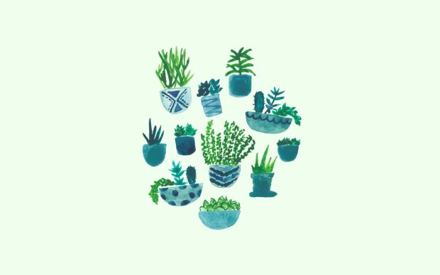Cute Aesthetic Backgrounds HD Green.