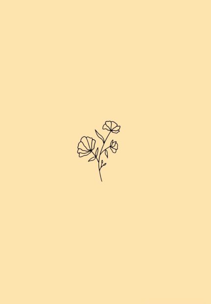 Cute Aesthetic Minimalist Wallpaper HD.