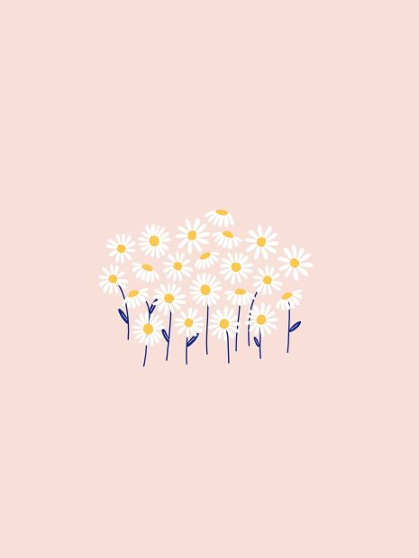 Cute Aesthetic Wallpaper HD Daisy Art.