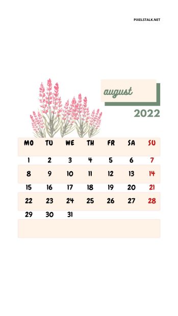 Cute August 2022 Calendar iPhone Background.