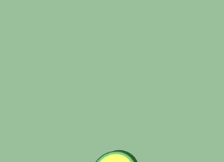 Cute Avocado Wallpaper Free Download.