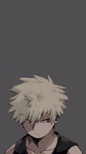 Cute Bakugou HD Wallpaper.