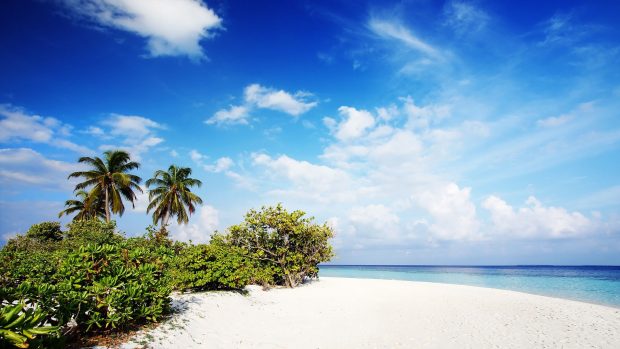 Cute Beach Background.