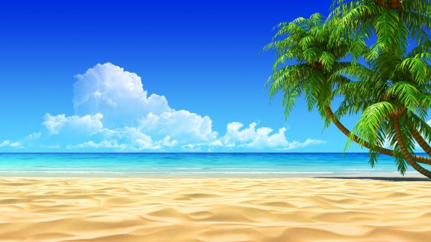 Cute Beach Background HD Coconut tree.