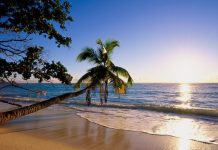 Cute Beach Wallpaper HD Free download.