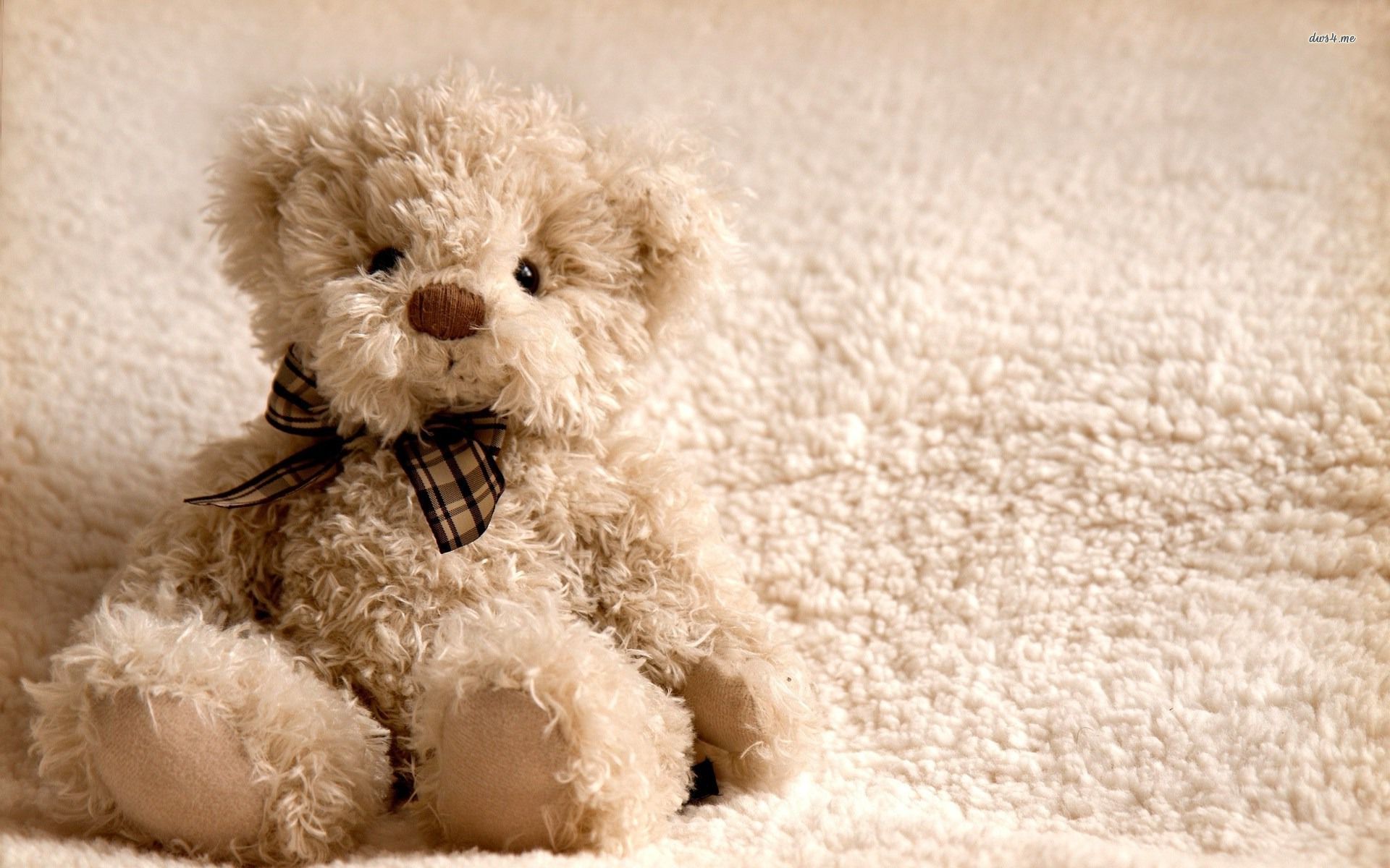 Brown Toy Teddy Bear Live Wallpaper  free download