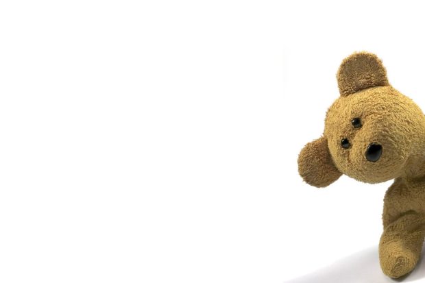 Cute Bear HD Wallpaper.