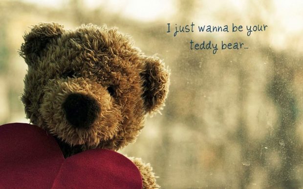 Cute Bear Teddy Wallpaper HD.