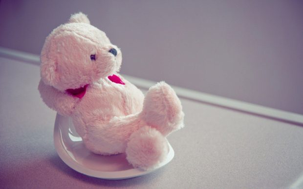 Cute Bear Wide Screen Wallpaper.