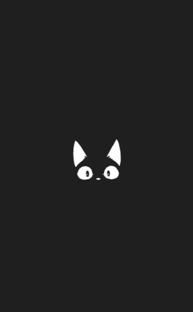 Cute Black Wallpaper HD Cat Iphone.