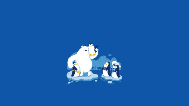 Cute Blue Backgrounds HD White Bear Penguin.
