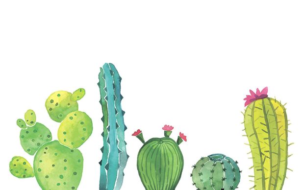 Cute Cactus Desktop Wallpaper HD.