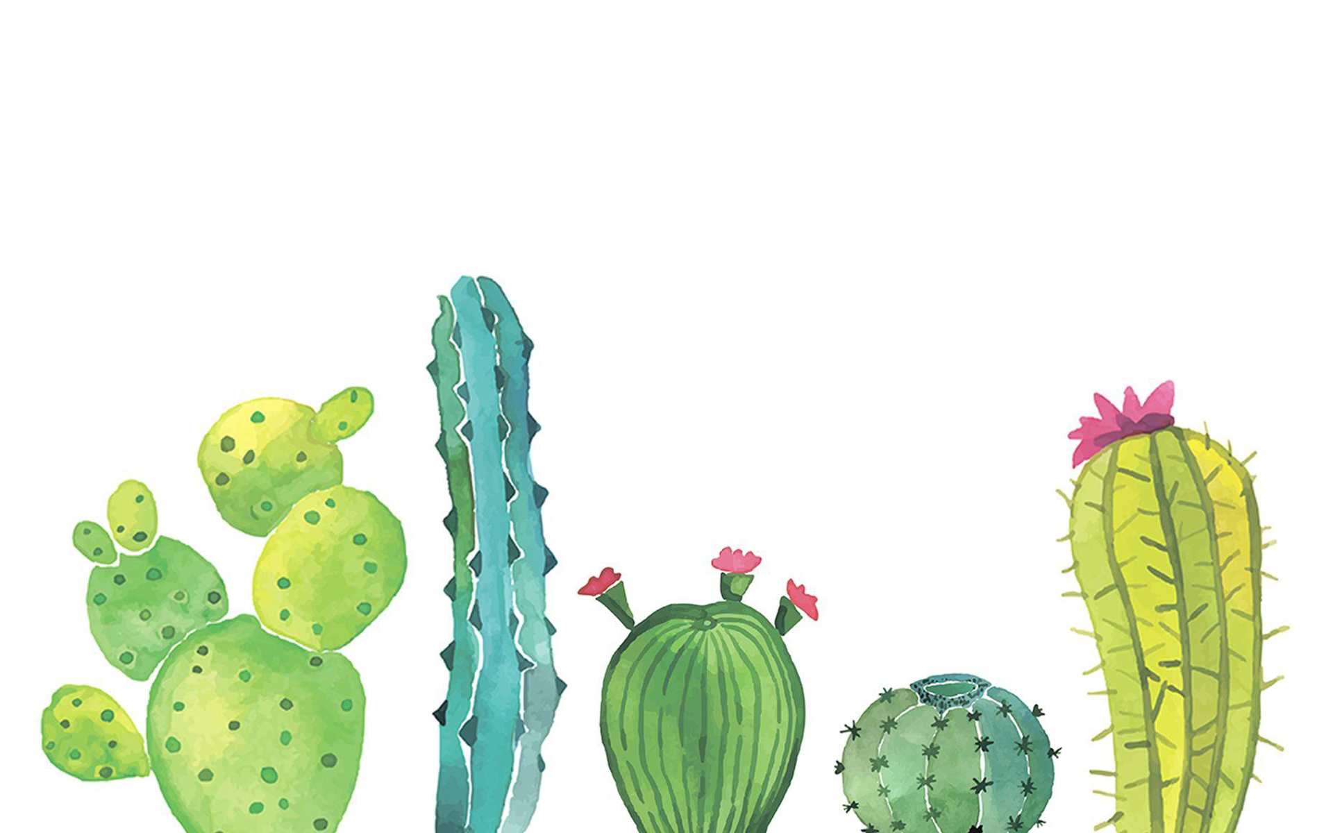 pngtree on Twitter Find more cute cactus wallpaper  httpstcoP3mgHIgXPT httpstcoTepAjwYs7n  Twitter