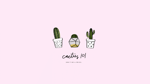 Cute Cactus Image.