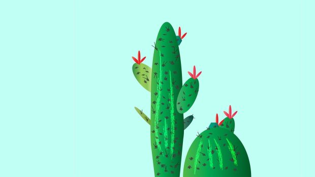Cute Cactus Wallpaper 1080p.