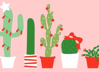 Cute Cactus Wallpaper HD.