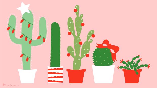 Cute Cactus Wallpaper HD.