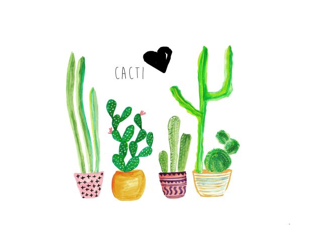 Cute Cactus Wallpaper High Quality.
