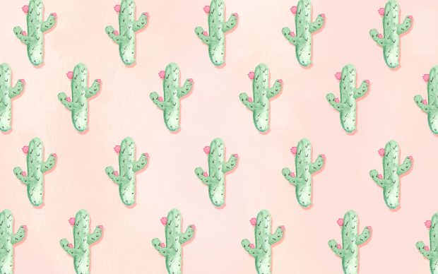 Cute Cactus Wallpaper for Desktop.