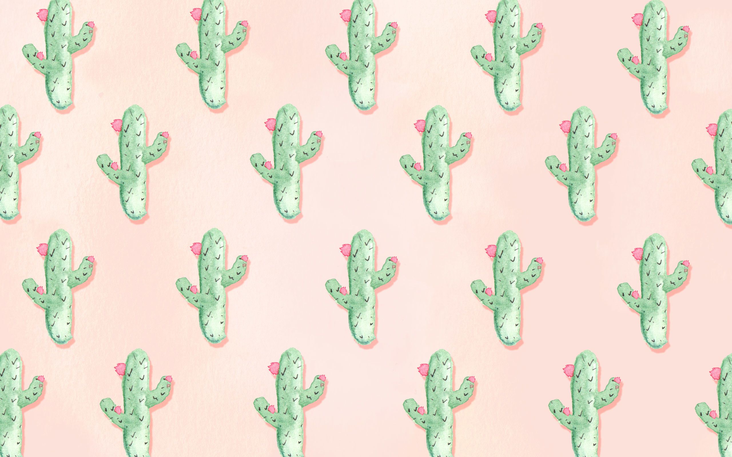 4K Kawaii Cute Cactus Wallpapers HDAmazoninAppstore for Android