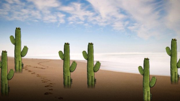 Cute Cactus Wallpaper for Mac.