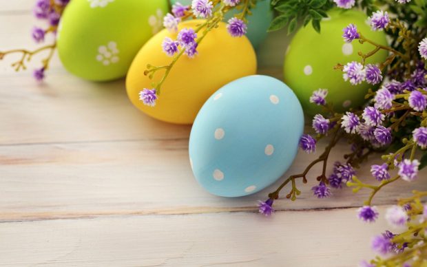 Cute Easter Egg Wallpaper HD.