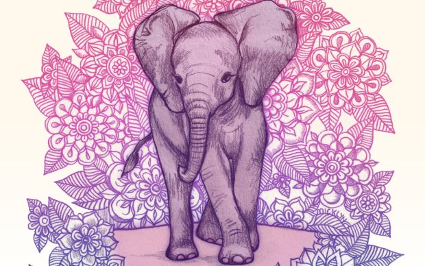 Cute Elephant Desktop Background.