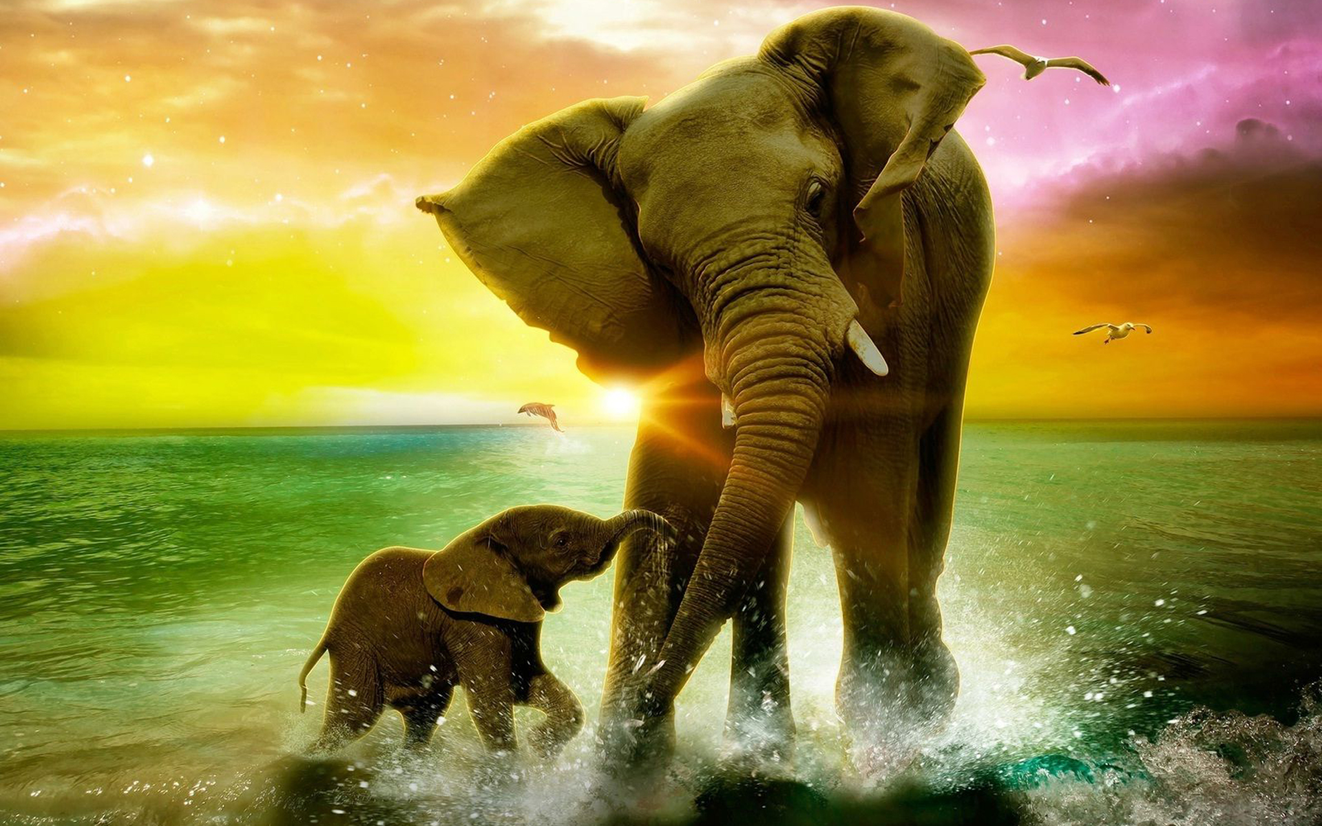 children Artwork Balloon Elephant Animals Surreal HD Wallpapers   Desktop and Mobile Images  Photos