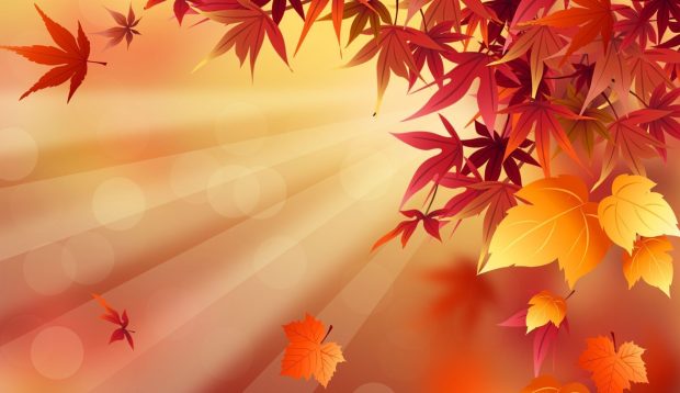 Cute Fall Desktop HD Wallpaper Computer.