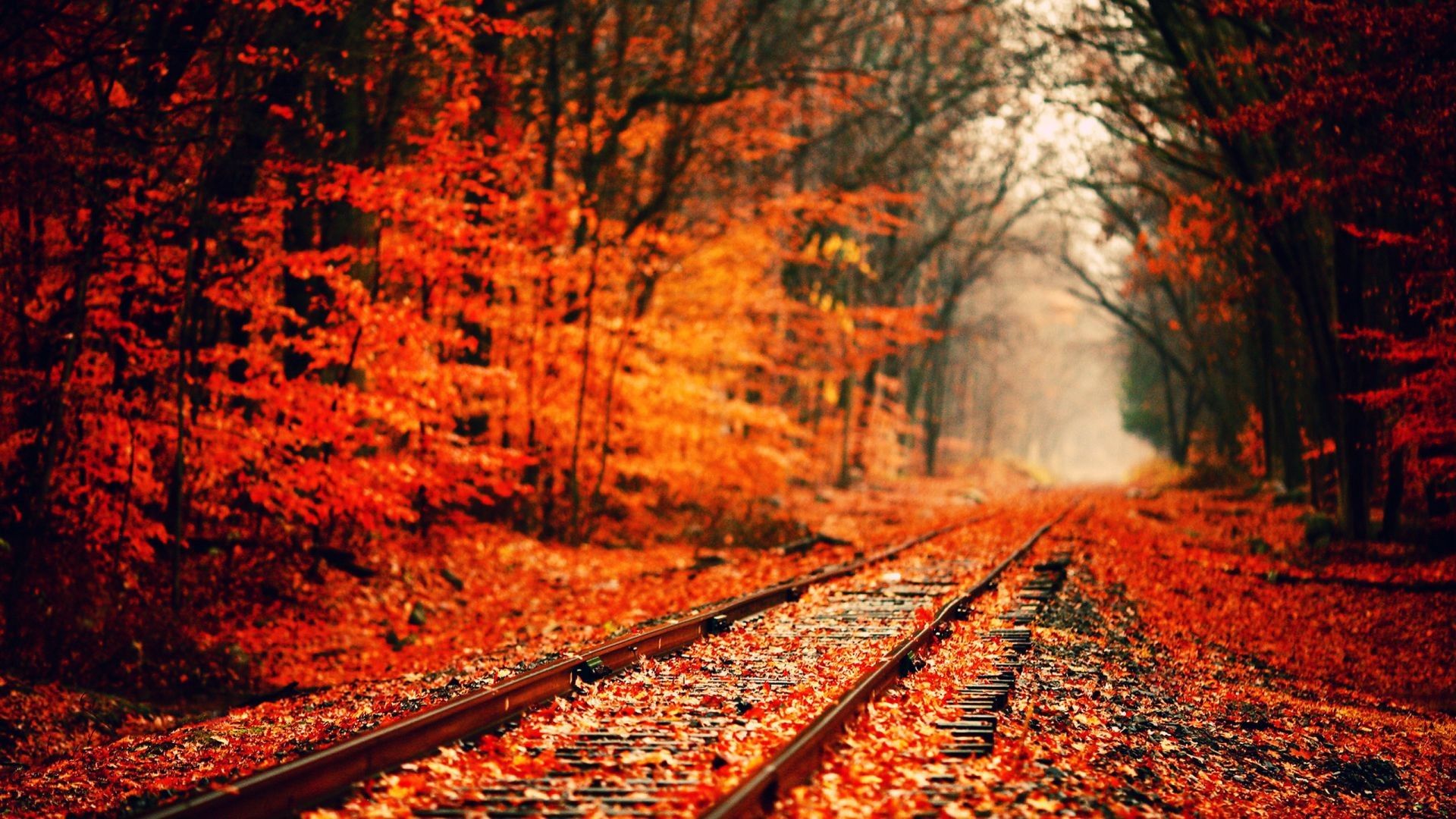 Autumn Wallpaper Photos Download The BEST Free Autumn Wallpaper Stock  Photos  HD Images