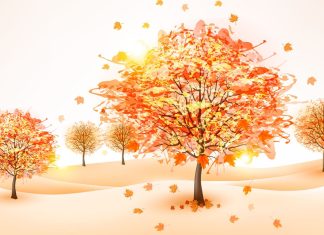Cute Fall Desktop Wallpaper HD Free download.