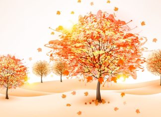 Cute Fall Desktop Wallpaper HD Free download.