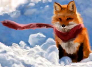 Cute Fox Backgrounds for Desktop.