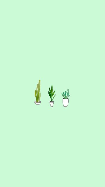 Cute Green Background Aesthetic.