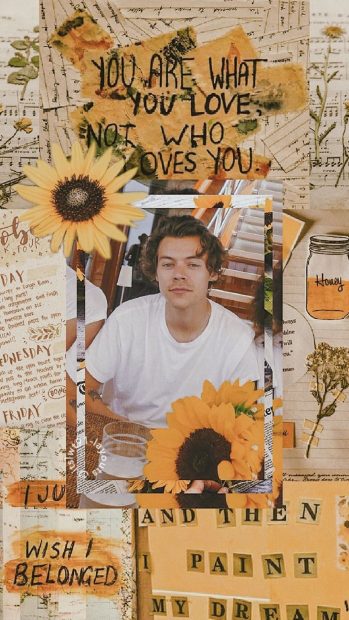 Cute Harry Styles Aesthetic Wallpaper HD.