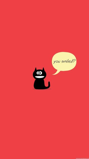 Cute Iphone Wallpaper Black Cat.