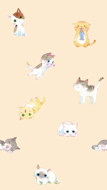 Cute Iphone Wallpaper HD Cute Cat.