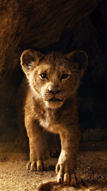 Cute Lion King Wallpaper HD.