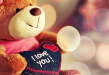 Cute Love HD Wallpaper.