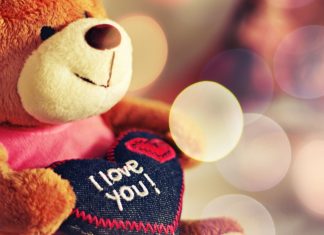 Cute Love HD Wallpaper.