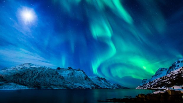 Cute Northern Lights Wallpaper HD.