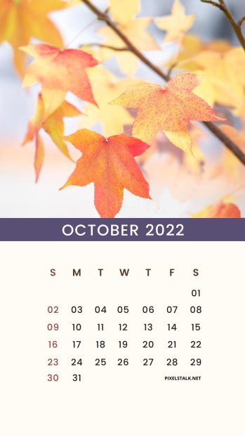 Cute October 2022 Calendar Phone Background.