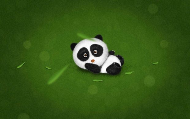 Cute Panda HD Wallpaper Free download.