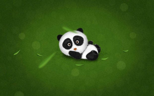 Cute Panda HD Wallpaper Free download.