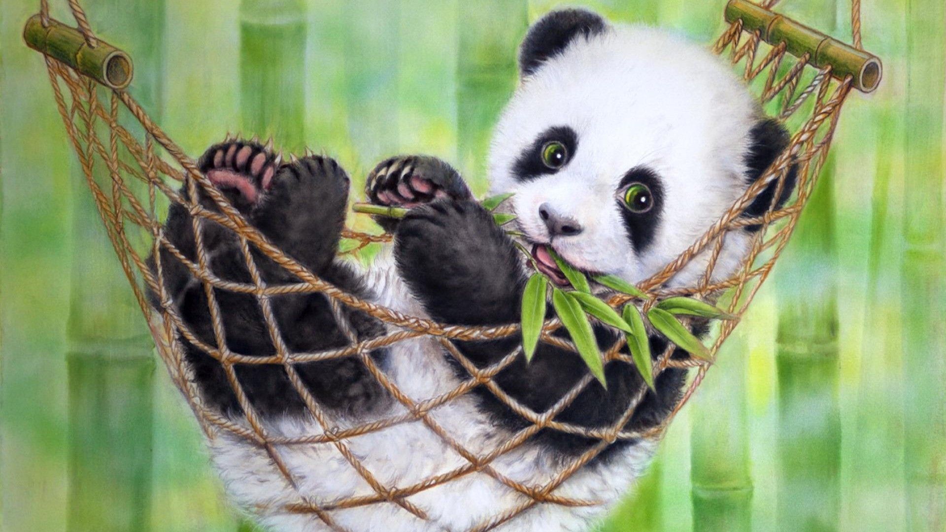 Cute Panda Wallpaper HD - PixelsTalk.Net