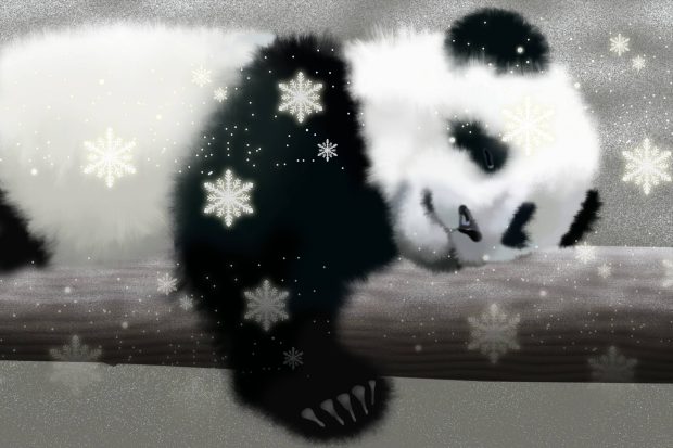 Cute Panda Wallpaper Sleep.