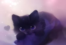 Cute Pics For Wallpaper Black Cat.