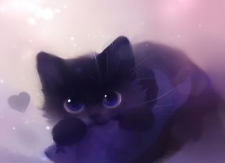 Cute Pics For Wallpaper Black Cat.