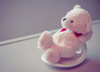 Cute Picture For Wallpaper Wallpaper Bear Toys.